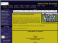 salinestix.com