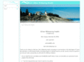 silverwellspring.com