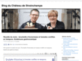 blog-strainchamps.com