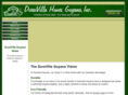 duravillaguyana.com