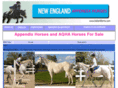 newenglandappendixhorses.com
