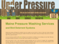 pressurewashmaine.com