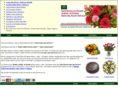 saudiarabiaflowerdelivery.com