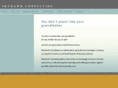skyhawkconsulting.com
