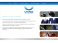 cygnuspartners.co.uk