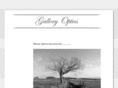 galleryoptics.com
