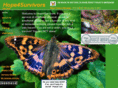 hope4survivors.com