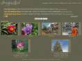 imagesland.com