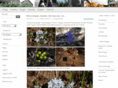 lindesro.com