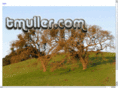tmuller.com