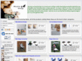 mumsshop.com