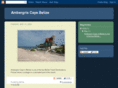 ambergris.net