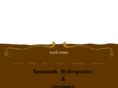 ashevillehydroponics.com