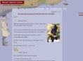 bvcbordeaux.com