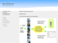 sachs-consulting.com