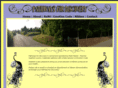 pathwaysfordiscovery.org