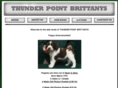 thunderpointbrittanys.com