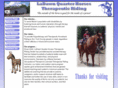 ladawntherapeuticridingcenter.org