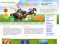 startinggatesolutions.com