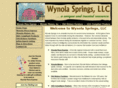 wynolasprings.com