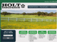 holtinsagency.com