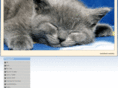 scrutineercountry.com
