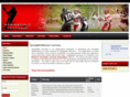 springfieldlacrosse.com