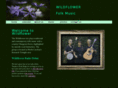wildflowerfolkmusic.com