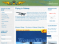 galwayflyingclub.com