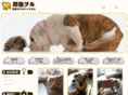 higobull.com