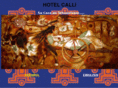 hotelcalli.com