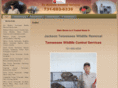 jackson-tn-bat-raccoon-squirrel-skunk-snake-wildliferemoval.com
