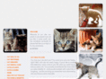 drcats.com