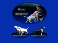 marso-bullterrier.com