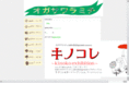 ogasawaramichi.com