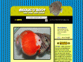 zestweb.com