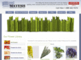 mayeshflowerlibrary.com