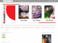 tomatobabyblog.com