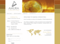 amuraconsulting.com
