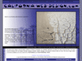 california-web-design.com