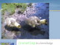 craneflag.com