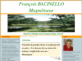 magnetiseur-regioncentre.com