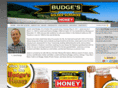 budgeshoney.com