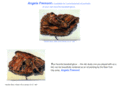 angelafremont.com