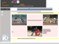 baseball-umpire.org