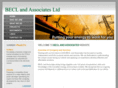 beclandassociates.com