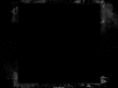 cogitobookseries.com