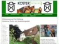 koester-pattburg.com