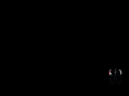 webrandagency.com