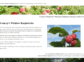 wicklowraspberries.com